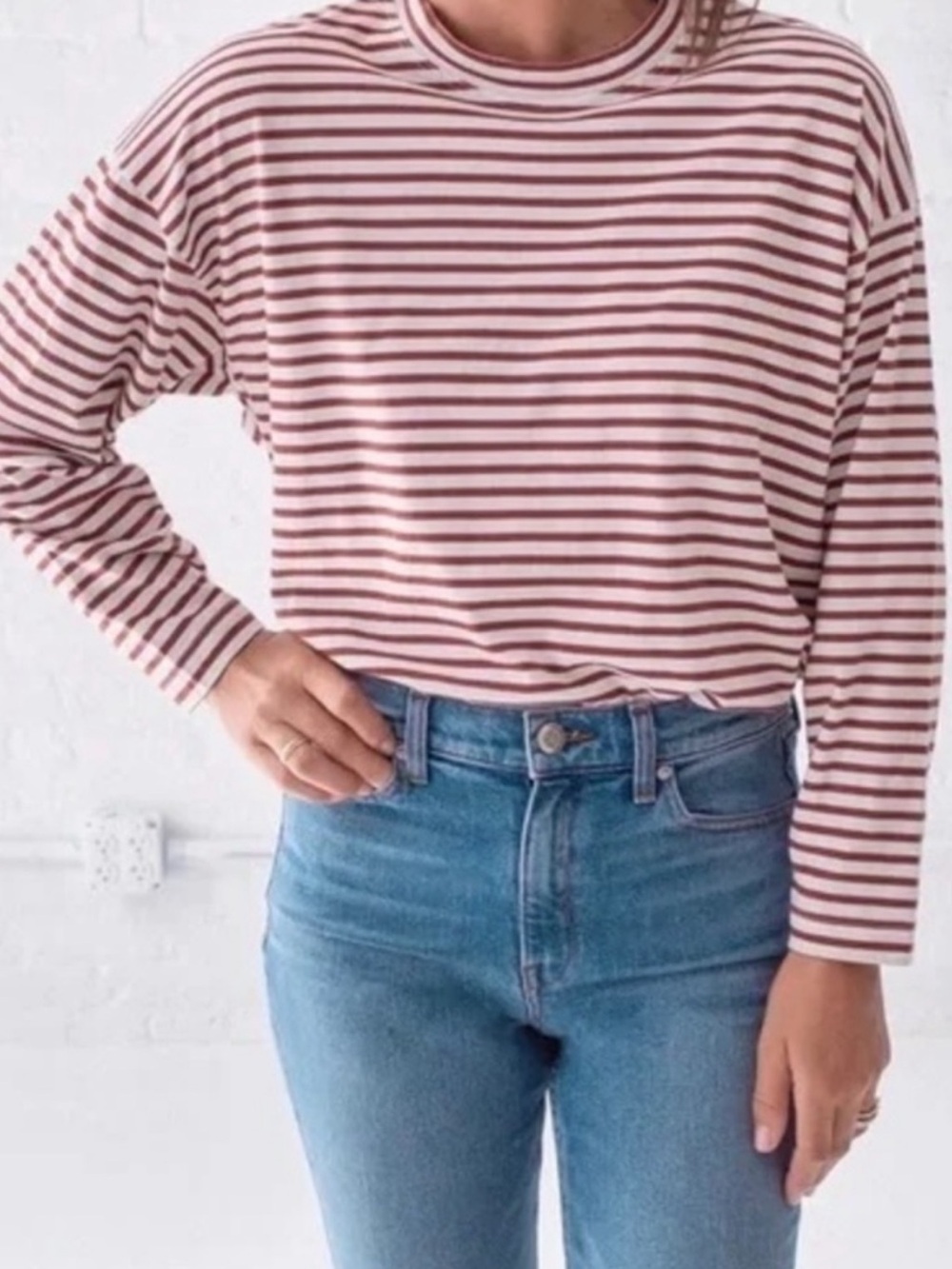 AYR French Fry